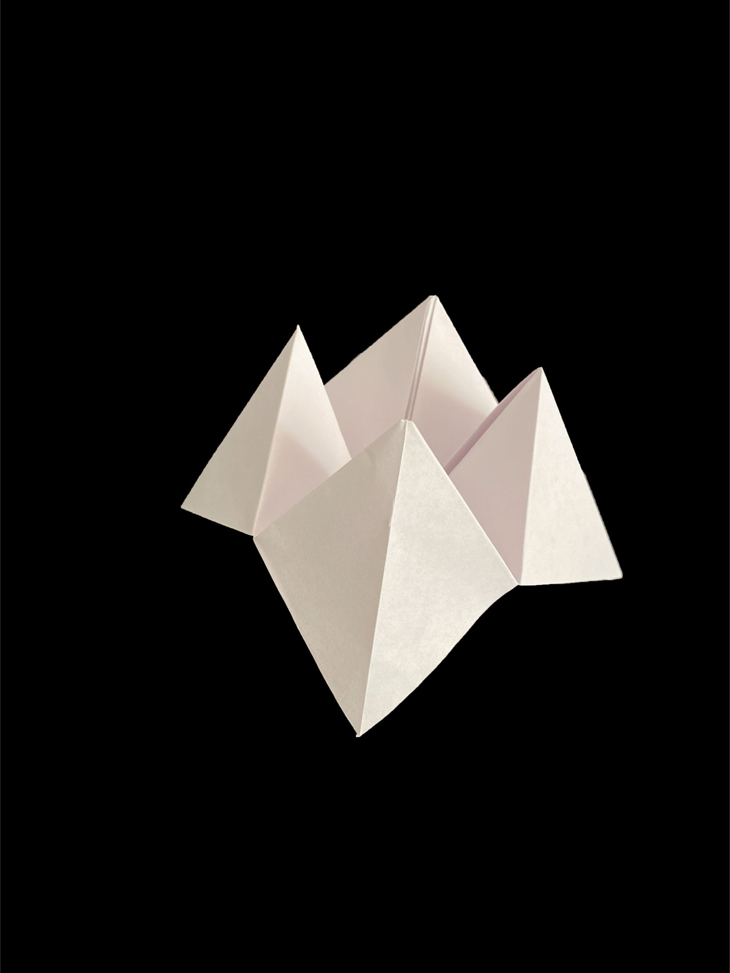 Origami Fortune